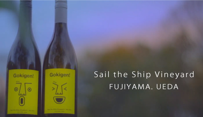 Sail the Ship Vineyard